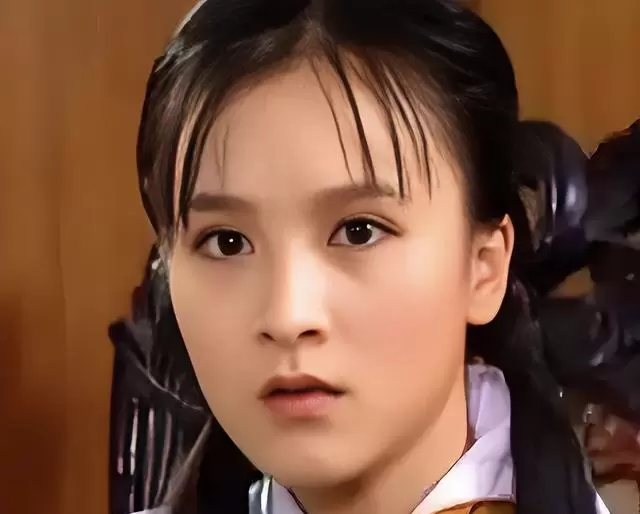 乐珈彤饰演陆梦萍走红后隐退成家，2005年与加拿大籍华人朱锐结婚 _ 资讯配图